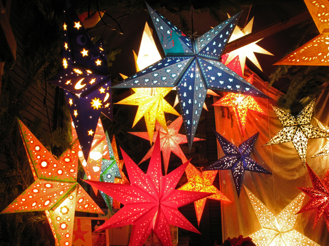Adventsstjärnan/julstjärnan